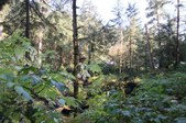 Enlarge photo 39
