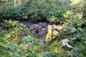 Enlarge photo 42