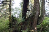 Enlarge photo 44