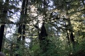 Enlarge photo 46