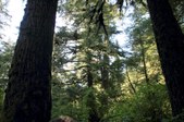 Enlarge photo 47