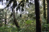Enlarge photo 48