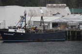 Enlarge photo 73