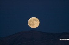 Enlarge photo 67