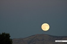 Enlarge photo 68