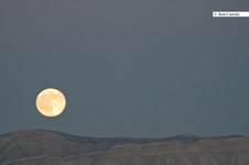 Enlarge photo 69