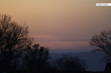 Enlarge photo 73