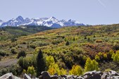 Enlarge photo 116