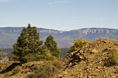 Enlarge photo 119