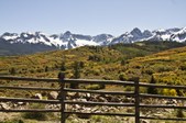 Enlarge photo 17