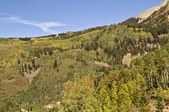Enlarge photo 122