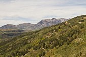 Enlarge photo 36