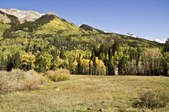 Enlarge photo 44