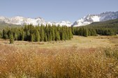 Enlarge photo 48