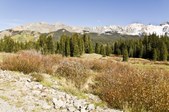 Enlarge photo 49