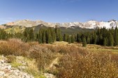 Enlarge photo 51