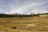 Enlarge photo 53