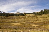 Enlarge photo 56