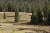 Enlarge photo 61