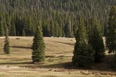 Enlarge photo 62