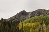 Enlarge photo 65