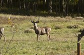 Local Photo Trips