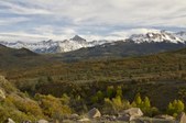 Enlarge photo 81