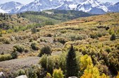 Enlarge photo 93