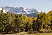 Enlarge photo 95