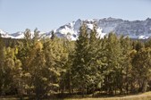 Enlarge photo 96