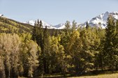 Enlarge photo 97