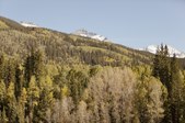 Enlarge photo 98