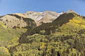 Enlarge photo 99