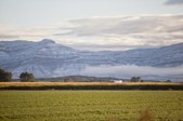 Enlarge photo 102