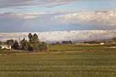 Enlarge photo 103