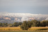 Enlarge photo 105