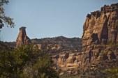 Enlarge photo 112