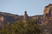 Enlarge photo 113