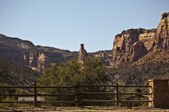 Enlarge photo 114