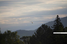 Enlarge photo 38