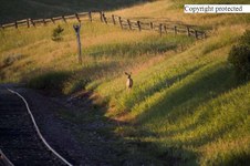 Enlarge photo 32