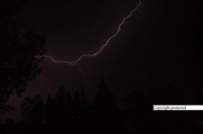Enlarge photo 43