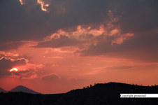 Enlarge photo 95