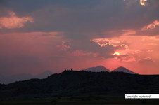 Enlarge photo 96