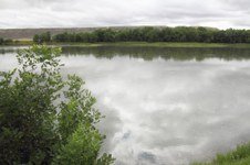 Enlarge photo 47
