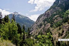 Enlarge photo 18