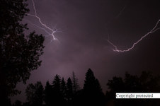 Enlarge photo 42