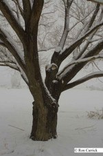 Enlarge photo 25