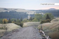 Enlarge photo 36