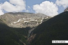 Enlarge photo 2